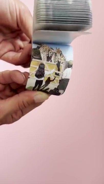 Giraffe lover gifts