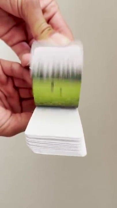 Flipbook pet memorial gift